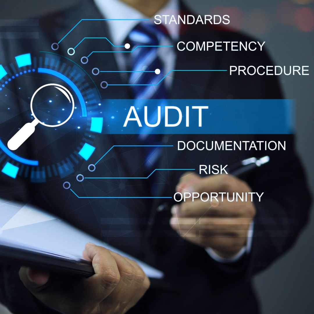process audit depiction